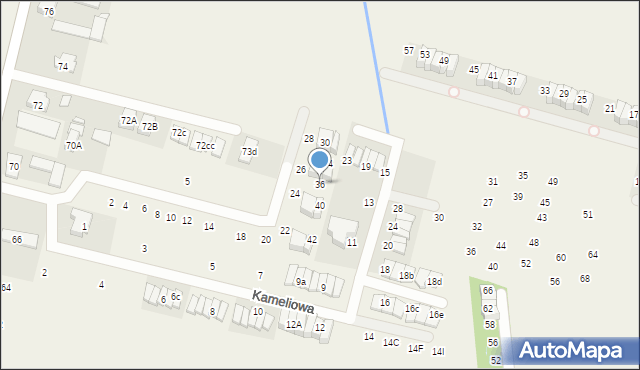 Nowa Wola, Surfinii, 36, mapa Nowa Wola