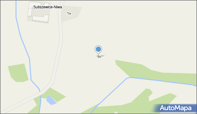 Suliszewice, Suliszewice, 79b, mapa Suliszewice