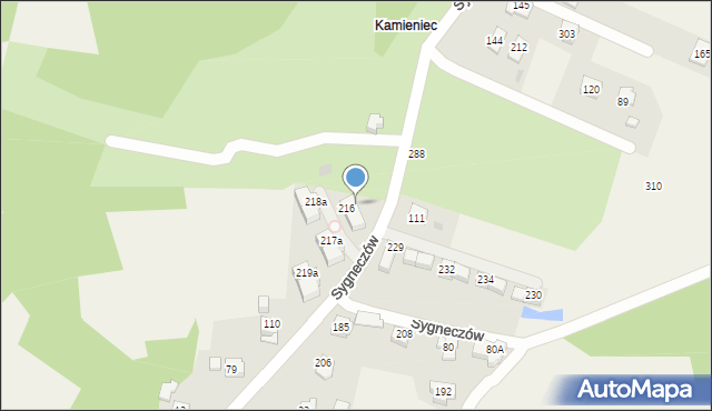 Sygneczów, Sygneczów, 216A, mapa Sygneczów
