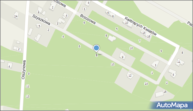 Baszkówka, Szyszkowa, 8, mapa Baszkówka