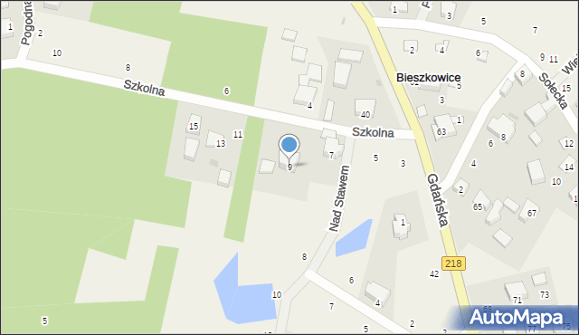 Bieszkowice, Szkolna, 9, mapa Bieszkowice