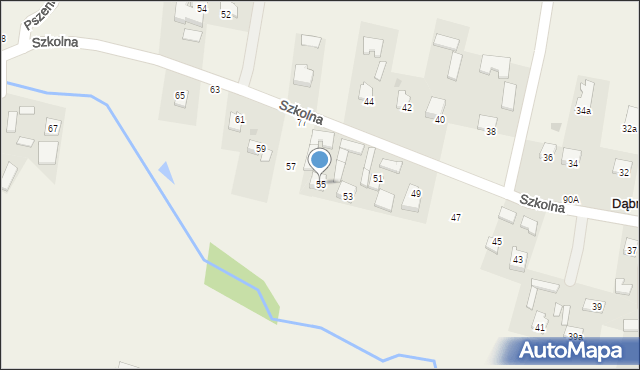 Dąbrowica, Szkolna, 55, mapa Dąbrowica