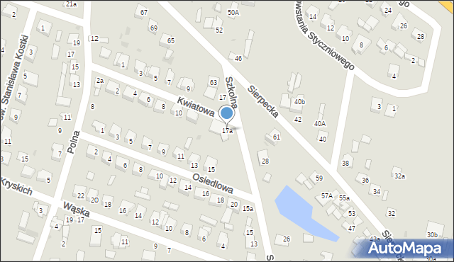 Drobin, Szkolna, 17a, mapa Drobin