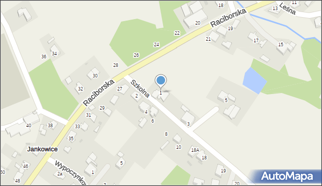 Jankowice, Szkolna, 1, mapa Jankowice