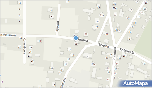 Janów, Szkolna, 21, mapa Janów