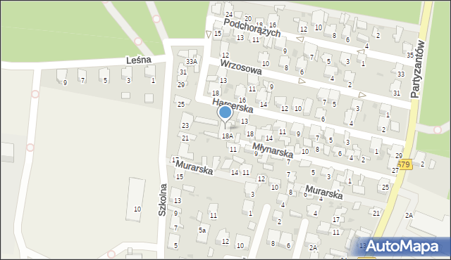 Leszno, Szkolna, 23a, mapa Leszno