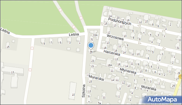 Leszno, Szkolna, 25, mapa Leszno