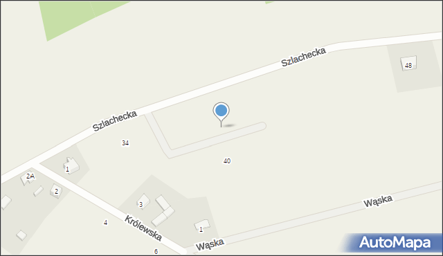 Mściszewice, Szlachecka, 44, mapa Mściszewice