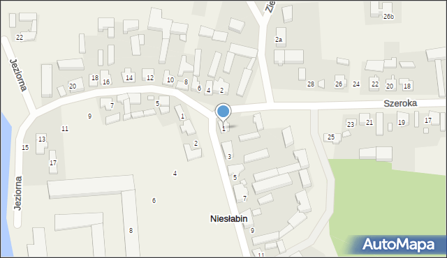 Niesłabin, Szkolna, 1, mapa Niesłabin