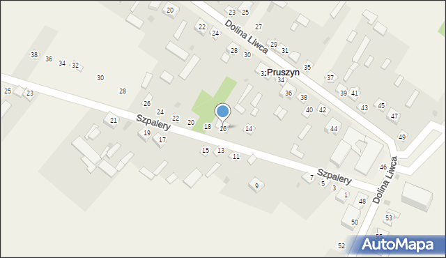 Pruszyn, Szpalery, 16, mapa Pruszyn