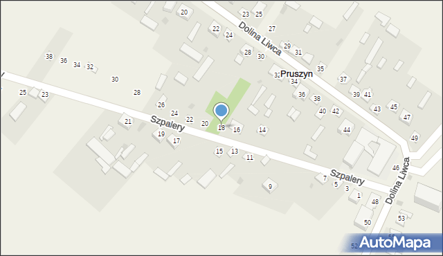 Pruszyn, Szpalery, 18, mapa Pruszyn