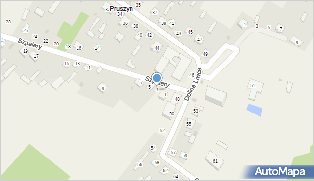Pruszyn, Szpalery, 3, mapa Pruszyn