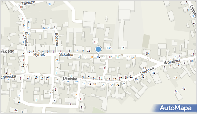 Święciechowa, Szkolna, 8a, mapa Święciechowa