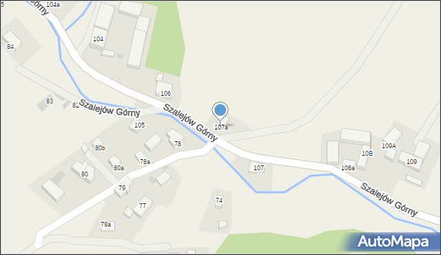 Szalejów Górny, Szalejów Górny, 107a, mapa Szalejów Górny