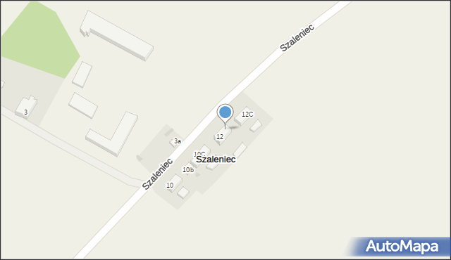 Szaleniec, Szaleniec, 12A, mapa Szaleniec