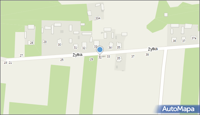 Szalenik-Kolonia, Szalenik-Kolonia, 31, mapa Szalenik-Kolonia