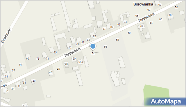 Borowianka, Tartakowa, 54, mapa Borowianka