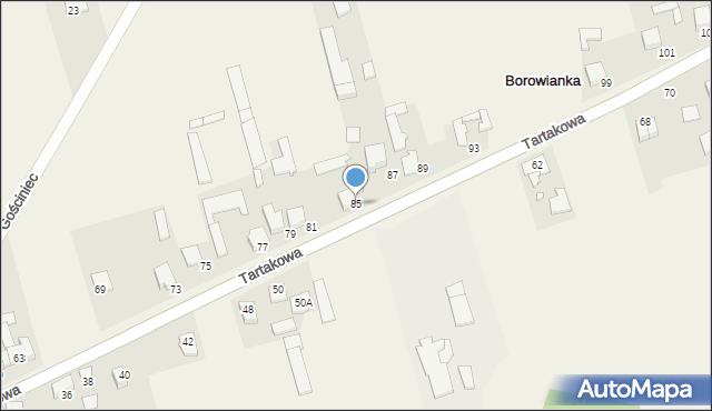 Borowianka, Tartakowa, 85, mapa Borowianka