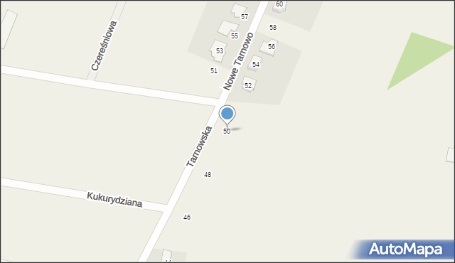 Czempiń, Tarnowska, 50, mapa Czempiń