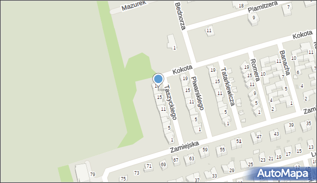 Opole, Taszyckiego Witolda, prof., 17, mapa Opola