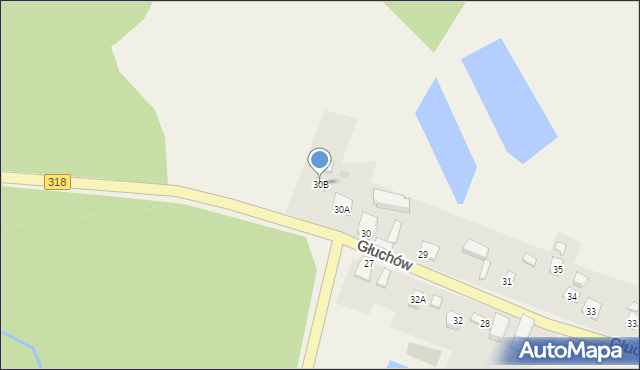 Tarnów Jezierny, Tarnów Jezierny, 30c, mapa Tarnów Jezierny
