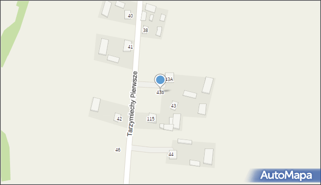 Tarzymiechy Pierwsze, Tarzymiechy Pierwsze, 43b, mapa Tarzymiechy Pierwsze