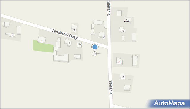 Teodorów Duży, Teodorów Duży, 1, mapa Teodorów Duży