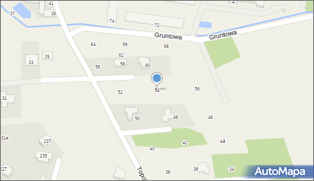 Borowina, Topolowa, 54, mapa Borowina