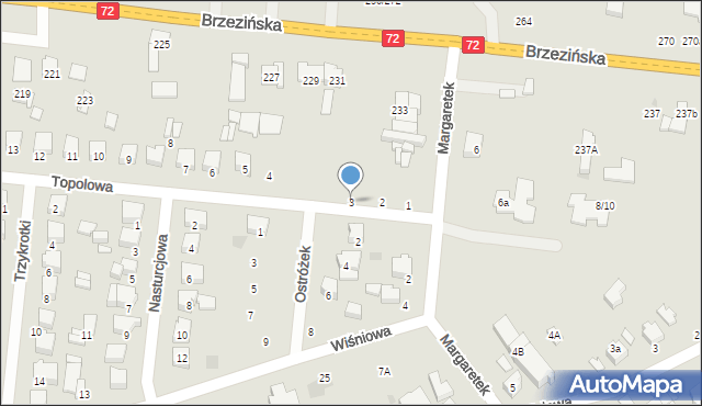 Łódź, Topolowa, 3, mapa Łodzi