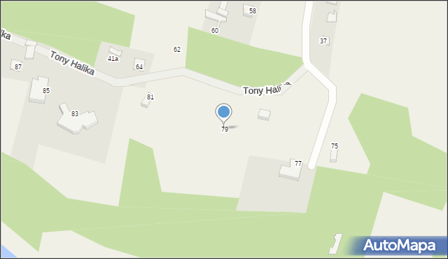 Maszewo, Tony Halika, 79, mapa Maszewo