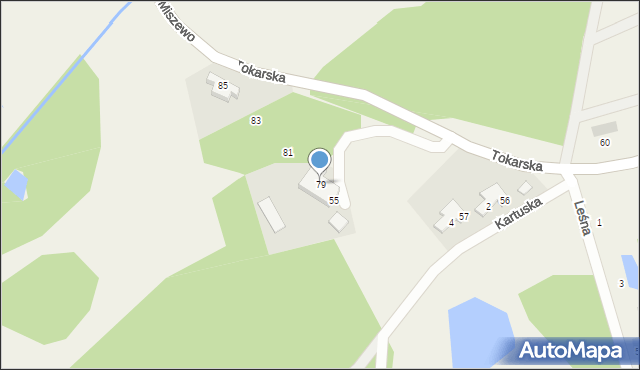 Miszewo, Tokarska, 79, mapa Miszewo