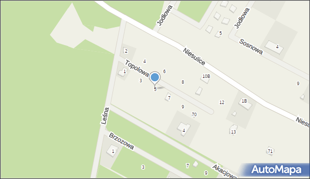 Niesulice, Topolowa, 5, mapa Niesulice