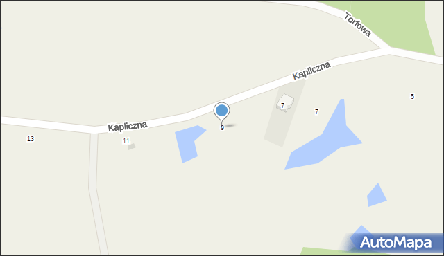 Połęczyno, Torfowa, 9, mapa Połęczyno