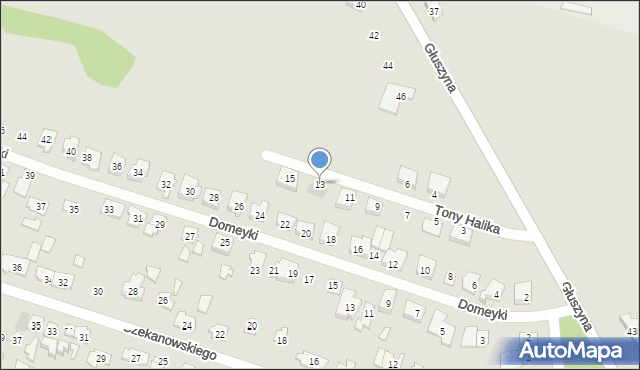 Poznań, Tony Halika, 13, mapa Poznania