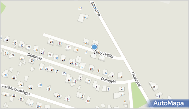 Poznań, Tony Halika, 5, mapa Poznania