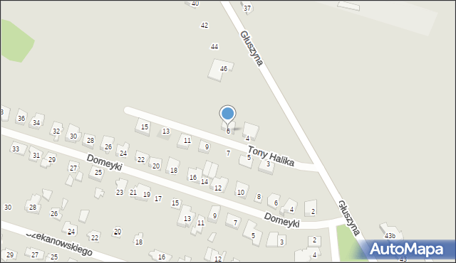 Poznań, Tony Halika, 6, mapa Poznania