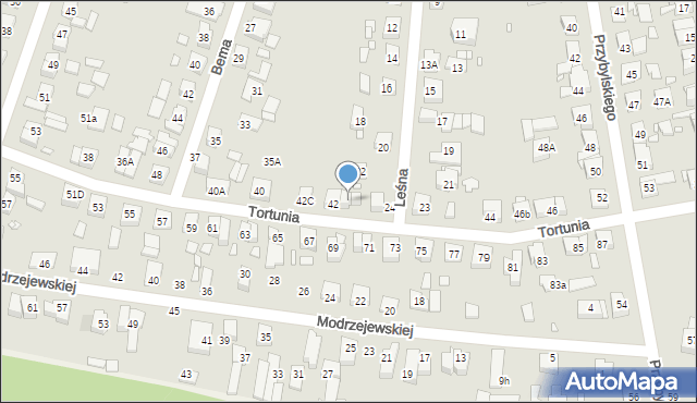 Swarzędz, Tortunia, 42a, mapa Swarzędz