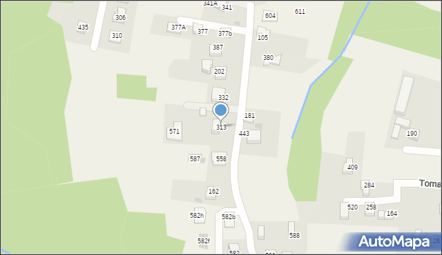 Tomaszkowice, Tomaszkowice, 313, mapa Tomaszkowice