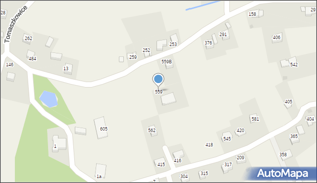 Tomaszkowice, Tomaszkowice, 559, mapa Tomaszkowice