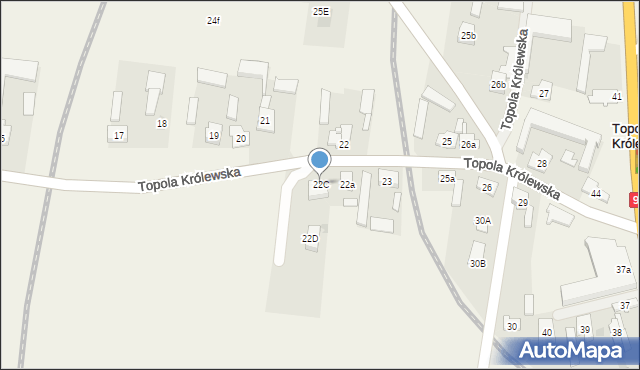Topola Królewska, Topola Królewska, 22C, mapa Topola Królewska