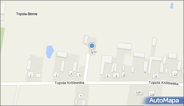 Topola Królewska, Topola Królewska, 6, mapa Topola Królewska