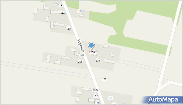 Topolice, Topolice, 125A, mapa Topolice