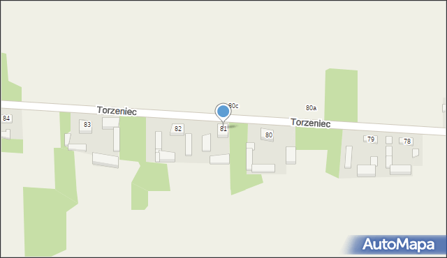 Torzeniec, Torzeniec, 81, mapa Torzeniec