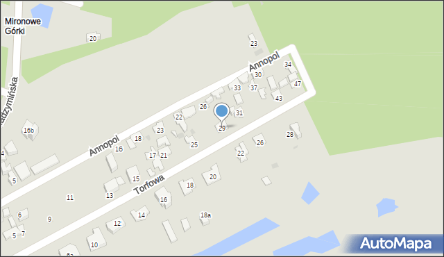 Wołomin, Torfowa, 29, mapa Wołomin