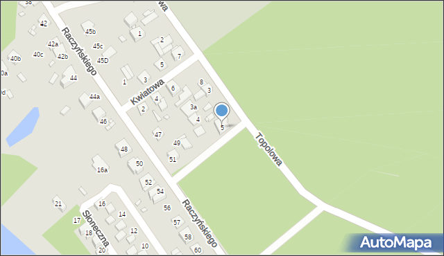 Zaniemyśl, Topolowa, 5, mapa Zaniemyśl