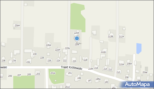 Borzęcin Duży, Trakt Królewski, 220c, mapa Borzęcin Duży