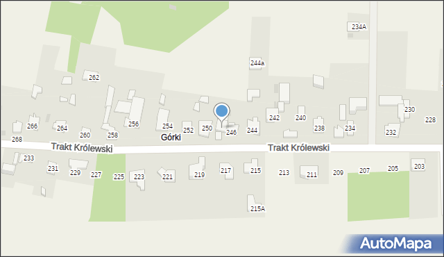 Borzęcin Duży, Trakt Królewski, 248, mapa Borzęcin Duży