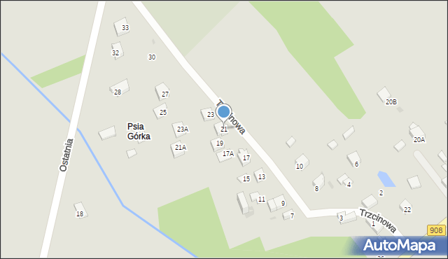 Częstochowa, Trzcinowa, 21, mapa Częstochowy