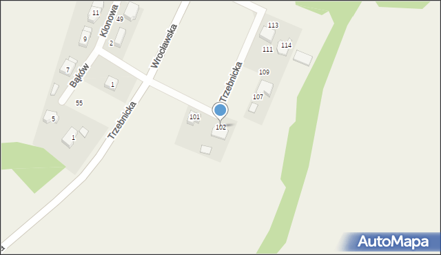 Domaszczyn, Trzebnicka, 102, mapa Domaszczyn