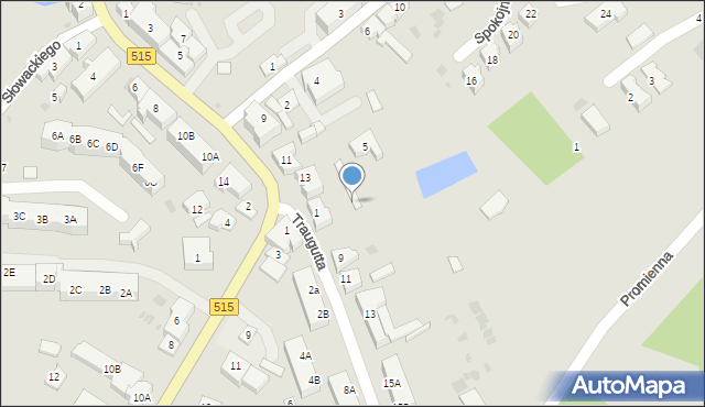 Dzierzgoń, Traugutta Romualda, gen., 7, mapa Dzierzgoń